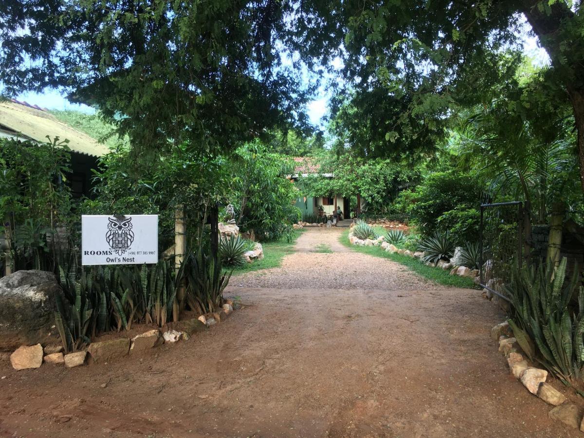 Owls Nest Hotel Udawalawe Exterior photo